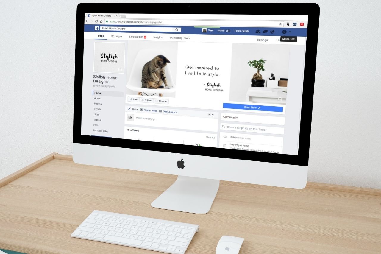 The Best Types of Facebook Posts for Your Business _DigiTLC
